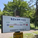 프로 오름러 아님 가지마, 족은노꼬메오름 급 포기한 썰 ᐕ