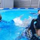 제천체육관 올림픽스포츠센터 이미지