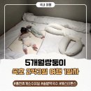 5개월 쌍둥이와 2박3일 속초 여행/홍천휴게소수유실,솥밭막국수,체스터톤스 후기