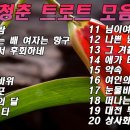 뽕짝나이트
