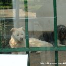 달성공원 이미지