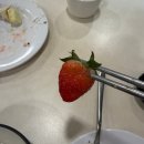 [잠실] 애슐리 퀸즈 잠실 딸기 축제 평일 점심 후기