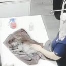 바로동물병원 이미지