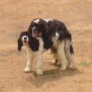 요환농장 이미지