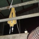 지유가축약품 이미지