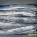 뉴 비너스 이미지