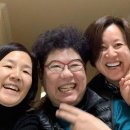 쌍방울동래