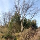 이원목장 이미지