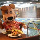 알로하도그 이미지