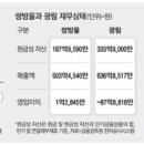 BYC;비비안