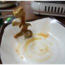 서해안해물맛집 이미지