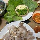왕피천힐링팜 | 경북 울진펜션 왕피천을 끼고 있는 왕피천 힐링팜