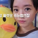 the 예뻐지러 이미지
