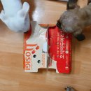 호식이두마리치킨(덕정점) 이미지