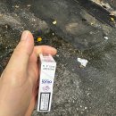 이오니아 티스토리