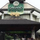 에스엠(SM)마트 보건대점 | 세부 쇼핑몰 총정리｜막탄·세부시티 몰 7곳 비교 (아얄라몰 vs SM씨사이드 차이 + 위치 지도)