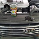 챔피온카서비스 이미지