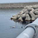 후포식자재마트 이미지