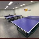 라이프 탁구클럽 이미지