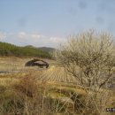 수일 농장 이미지