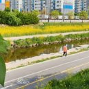 천안천9길 이미지