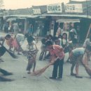 완도전복사료 이미지