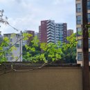 힐팰리스 이미지