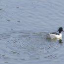 자연으로Ⅰ 이미지