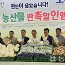 서울원예농업협동조합 이미지