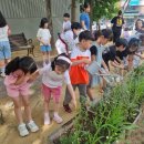 옥계권역마을 이미지