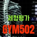 Personal Training GYM 이미지