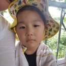 봉강산장