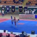 엘리트용인대국가대표태권도장 이미지