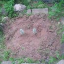 쑥마니판매장 이미지