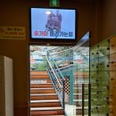 중부대로15 | 용인 찜질방 ‘숲속숯가마’ 이용 후기, 가족룸 예약, 준비물, 숯불삼겹살