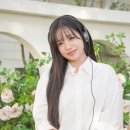 율 이미지