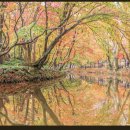 나홀로 산우회 2025년11월15일 고창 선운산 수리봉(블랙야크100) 이미지