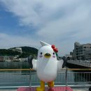 중앙동223 이미지