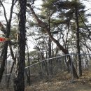 점동고등학교 이미지