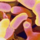 라온힐요양병원 이미지