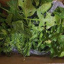 우빈농장 이미지