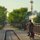 바퀴의 궤적 - 정유리 이미지