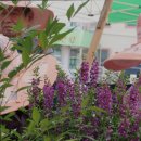 한나그린힐 요양원 이미지