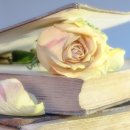 연성중학교 이미지