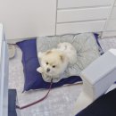 안경미쁘다 이미지