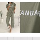 STANDARD TRAINING 이미지