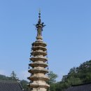 월정사 네이버블로그