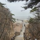 심기동김밥 이미지