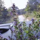 명월돌집 민박 이미지