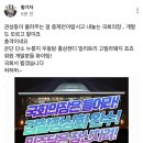 황기자TV에서 언급한 고릴라돼지 이미지